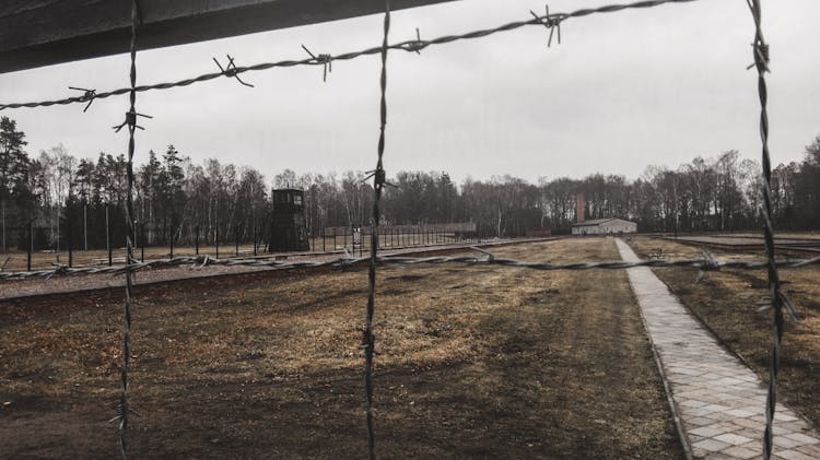 gdansk stutthof concentration camp regular tour