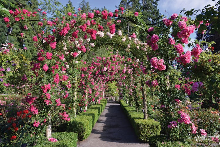 Full-day tour to Victoria and Butchart Gardens from Vancouver