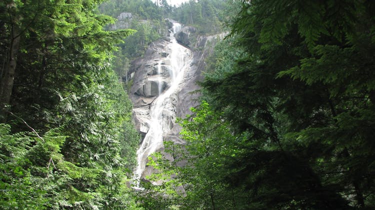 Whistler, Shannon Falls and Sky Gondola tour from Vancouver
