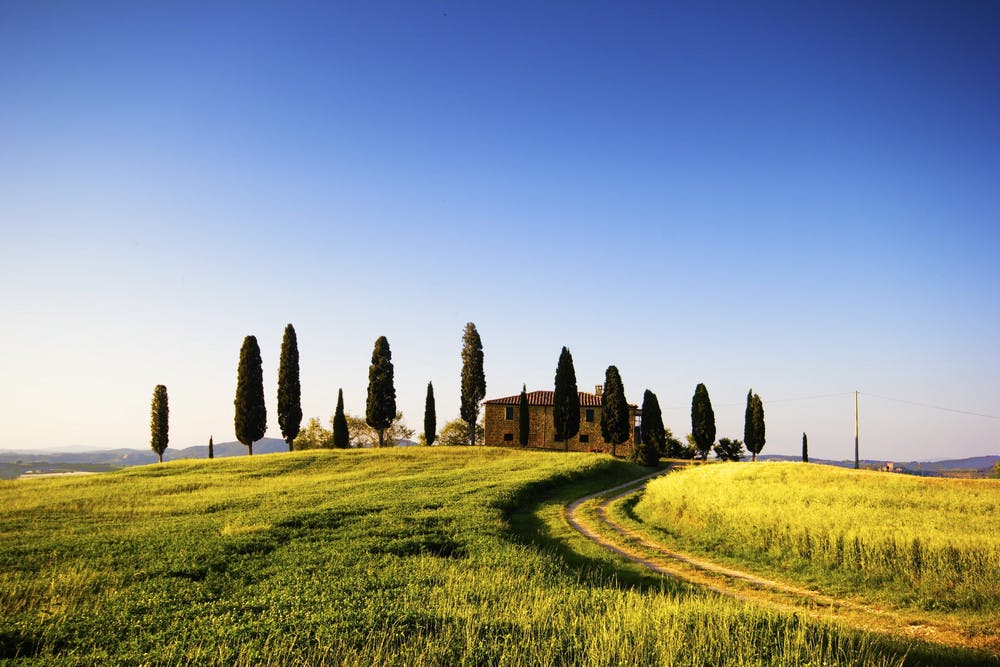 typical tuscan landscape.jpg