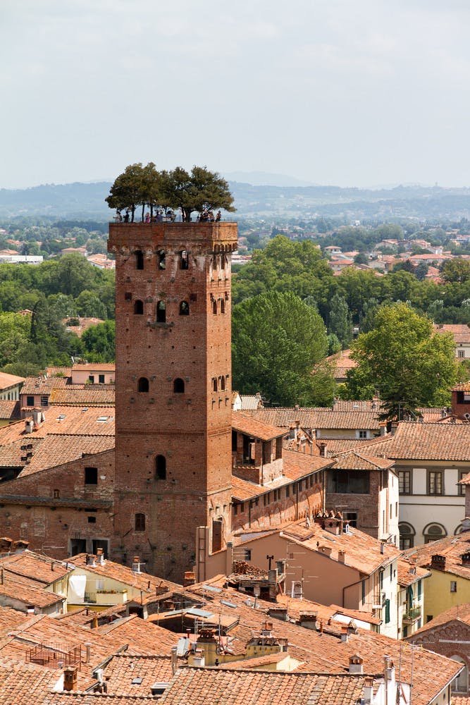 Lucca Tower.jpg