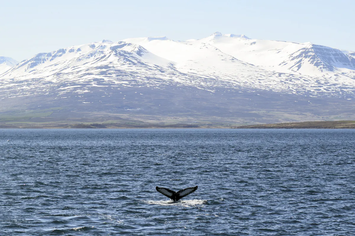 2016_05_29_0900_HAF_Linda (11).jpg