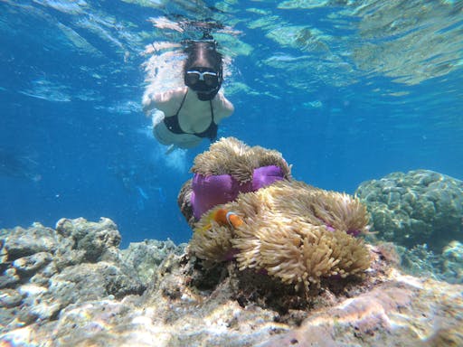 Key West Snorkel-3.jpg