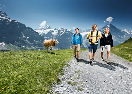 Grindelwald Fist Ausflug 03.jpeg