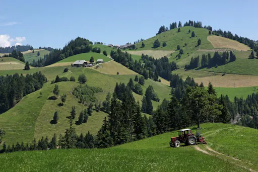 Bern capital 05.jpeg