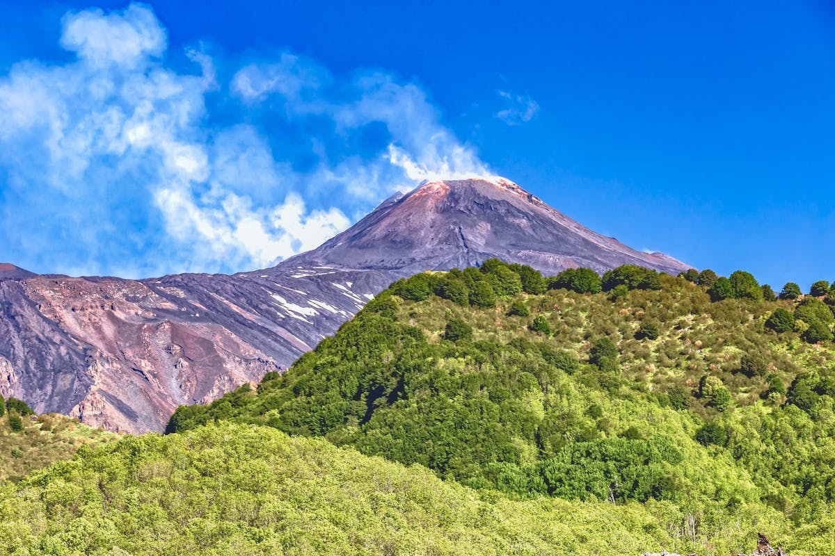 AdobeStock_229423517.jpeg