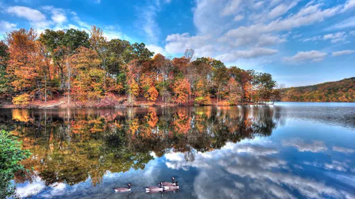 Canoeing trip with visit ot reindeer and husky farm 5.jpeg