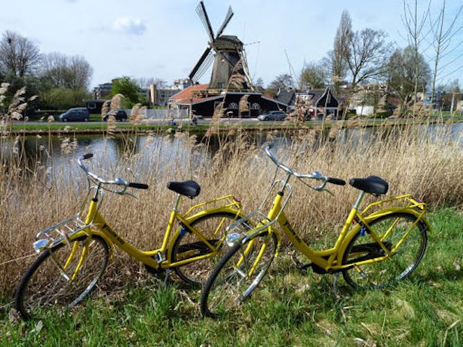 From Amsterdam Dutch countryside bike tour