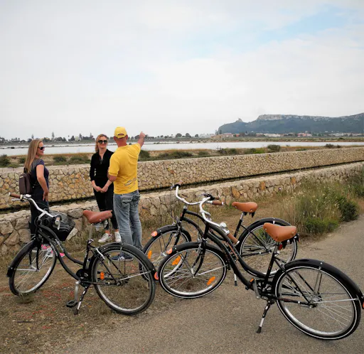 flamingos bike 3.jpg