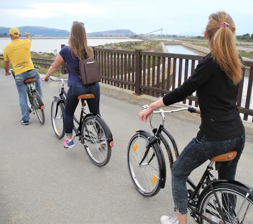 flamingos bike 1.jpg