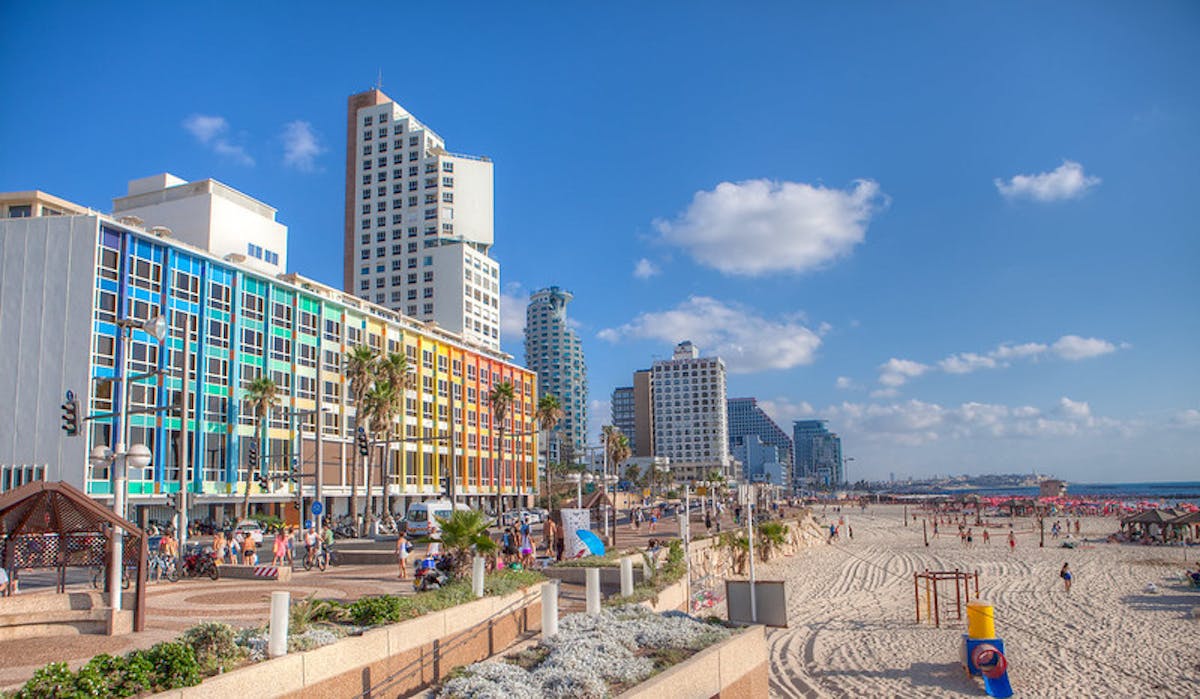 TLV 2.jpg