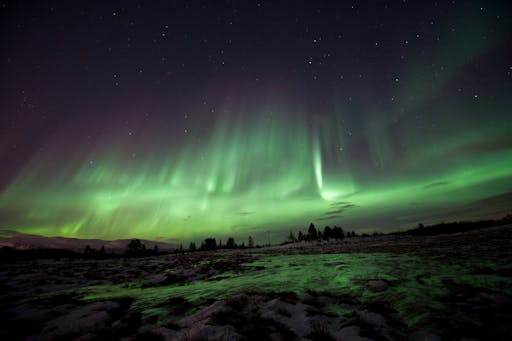 Experience the aurora and husky camp visit 4.jpeg