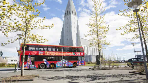 City sightseeing tour with visit to Wonders of Iceland and the northern lights4.jpeg