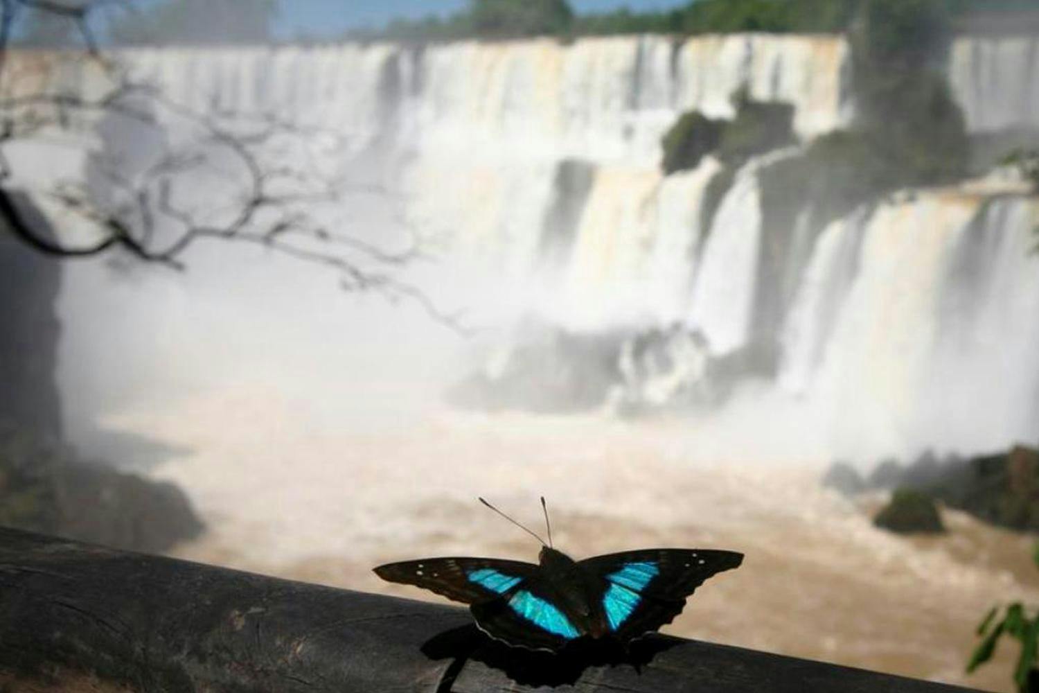 Iguassu Falls 8.jpg