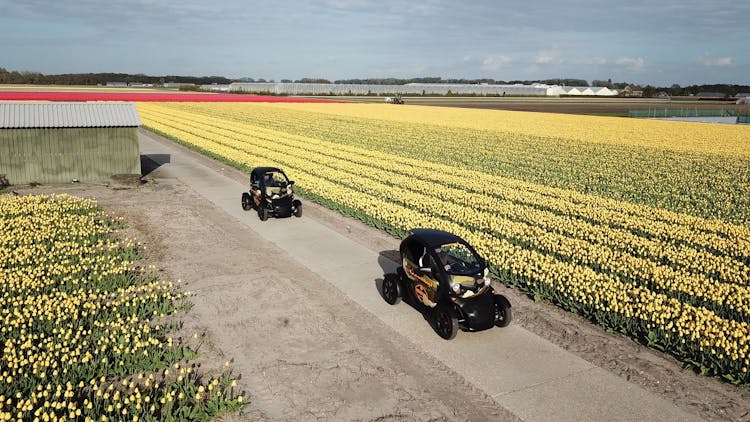 Drive-it-yourself electric car with tulip and flower fields audio tour