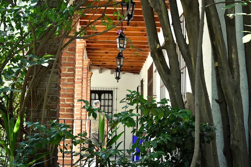 Museo Casa Frida 1.jpg