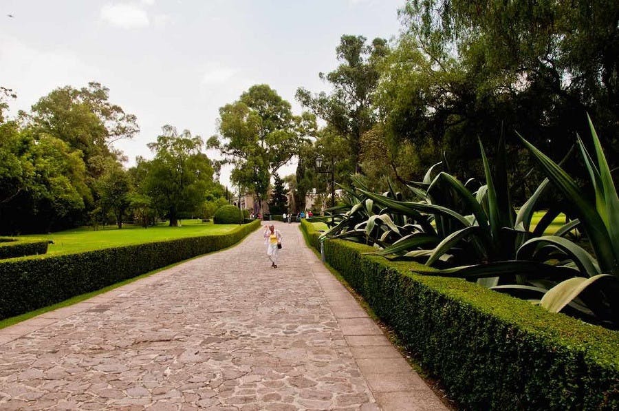 Museo Dolores Olmedo 7.jpg