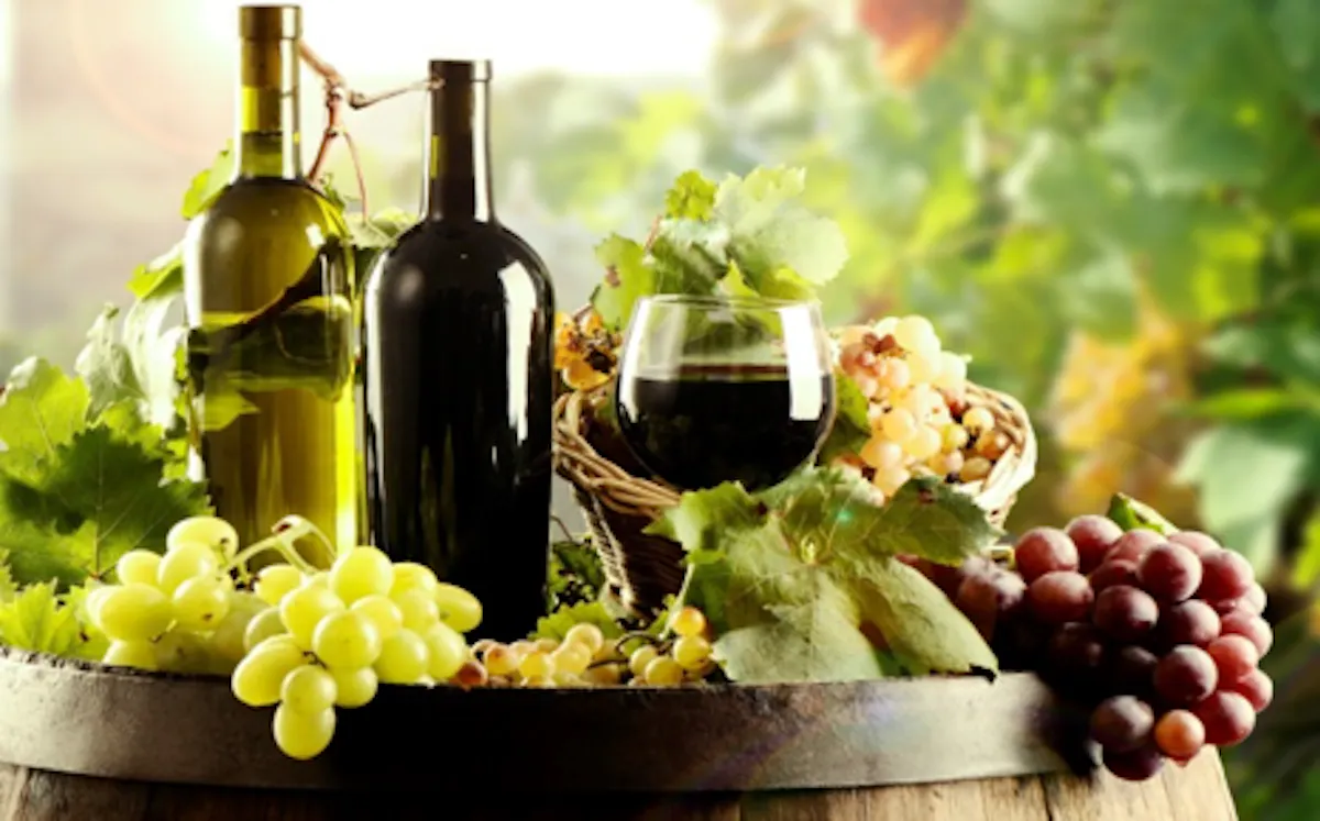 Carpatian whine 01.png