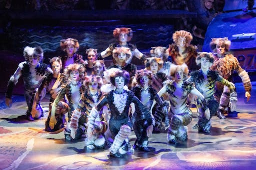 Musical Cats in Wien (1).jpg
