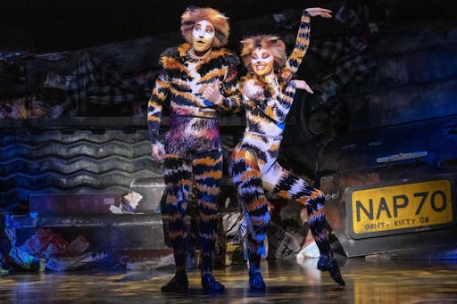 Musical Cats in Wien (2).jpg