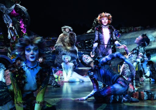 Musical Cats in Wien (4).jpg