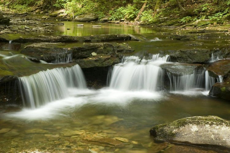 Presidente Figueiredo Waterfalls guided excursion with lunch