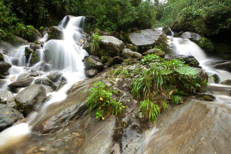 Presidente Figueiredo Waterfalls guided excursion with lunch