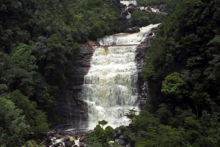 Presidente Figueiredo Waterfalls guided excursion with lunch