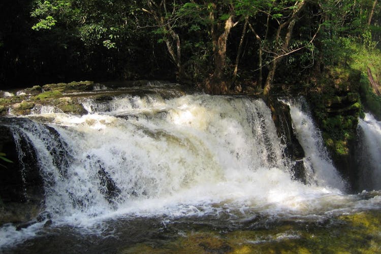 Presidente Figueiredo Waterfalls guided excursion with lunch