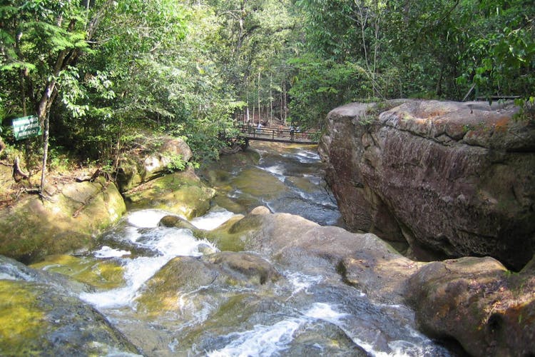 Presidente Figueiredo Waterfalls guided excursion with lunch