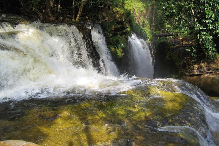 Presidente Figueiredo Waterfalls guided excursion with lunch