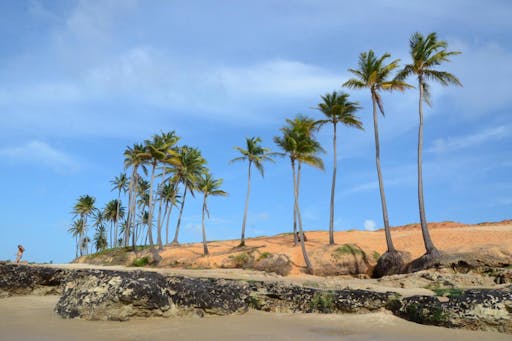 Lagoinha beach Brazil 3.jpg