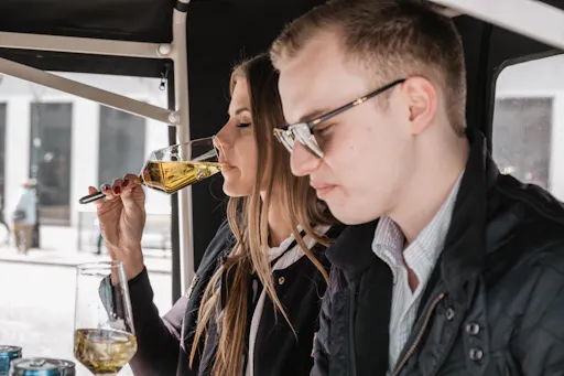 Vienna sightseeing tour in a classic electric car (4).jpg