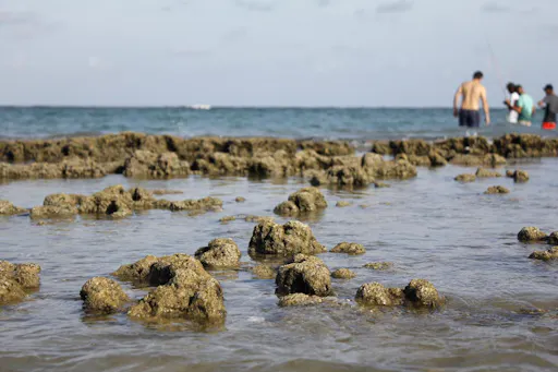 Porto De Galinhas Brazil 3.jpg