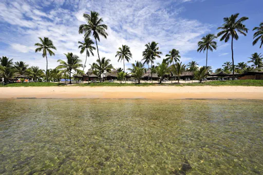 Porto De Galinhas Brazil 5.jpg