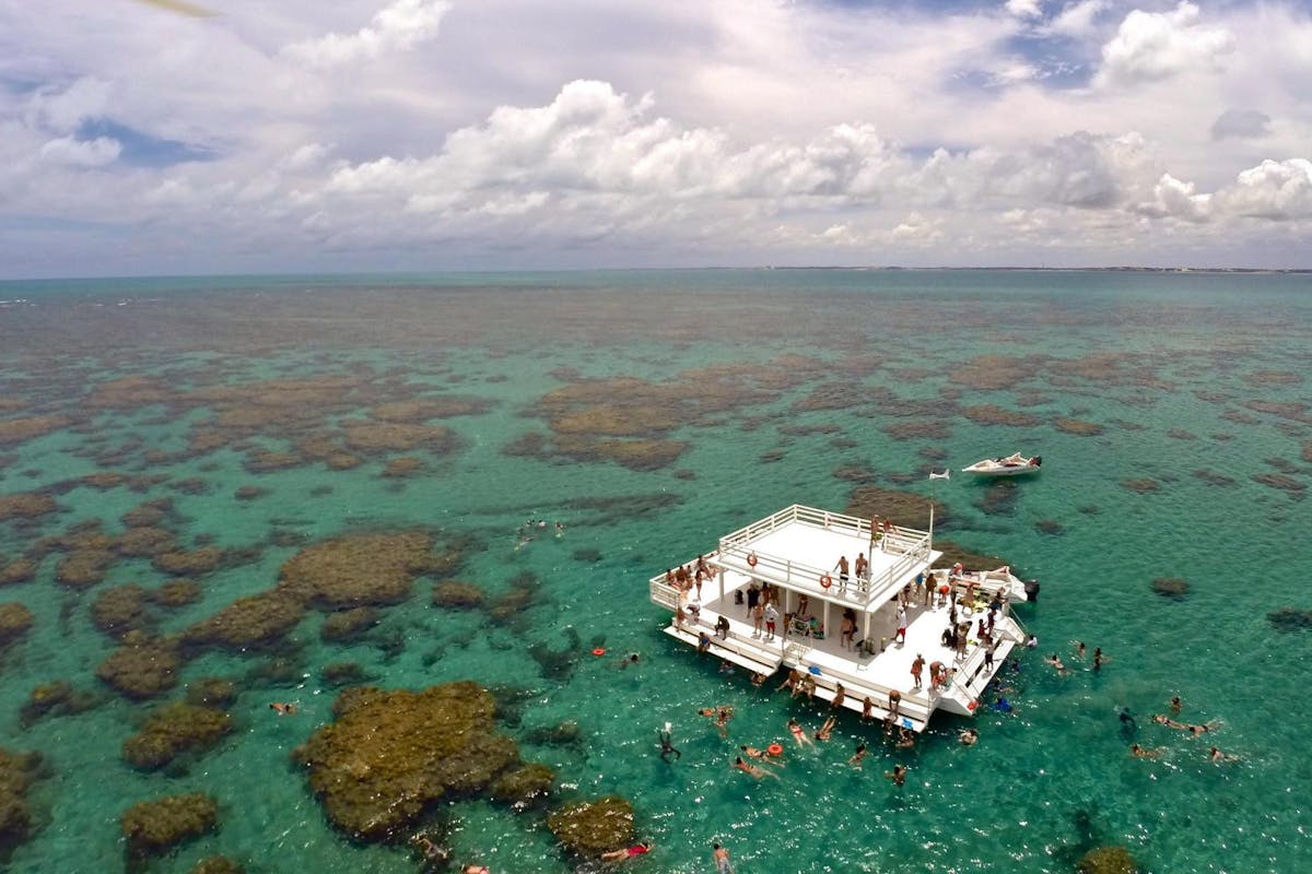 Maracajau Parrachos Reef Brazil 1.jpg