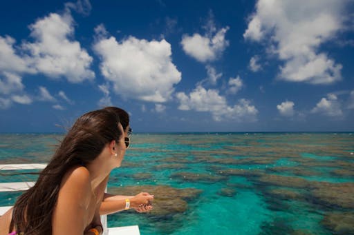 Maracajau Parrachos Reef Brazil 2.jpg