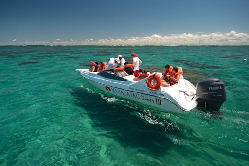 Maracajau Parrachos Reef Brazil 3.jpg