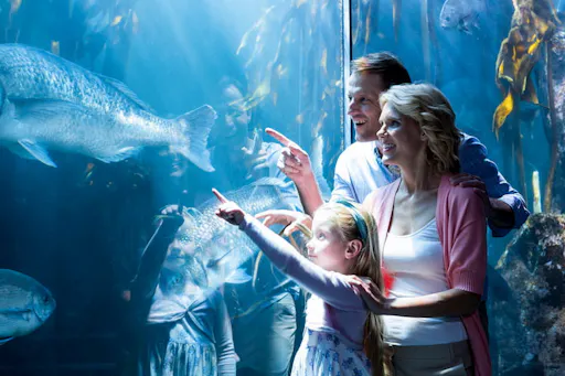 Family in awe of fish.jpg