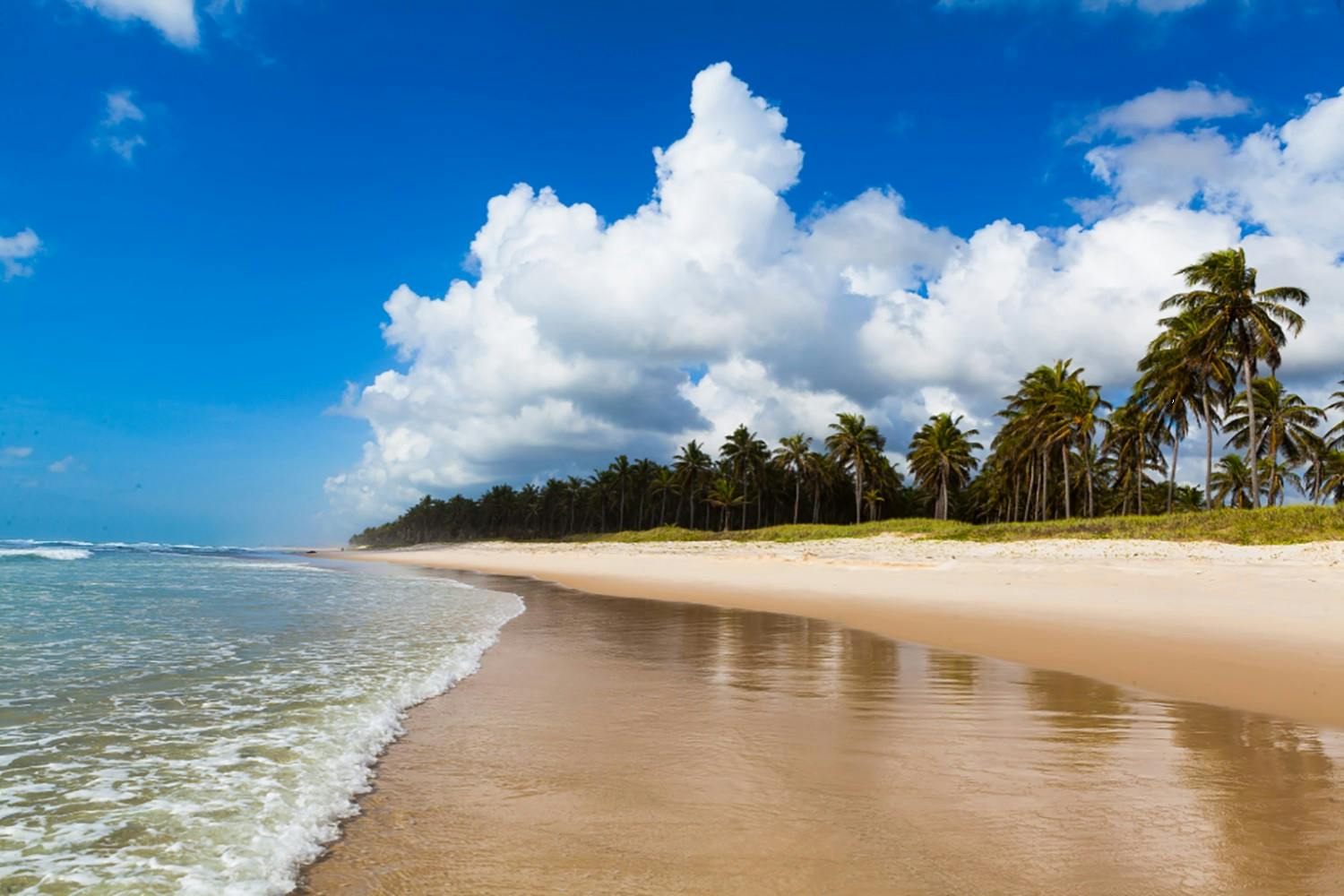Alagoas Coast 3.jpg