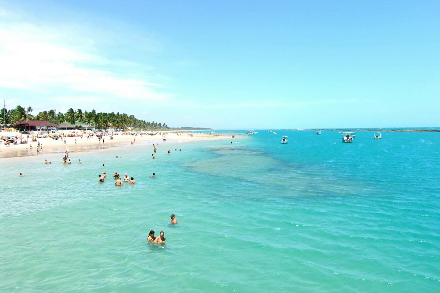 Alagoas Coast.jpg