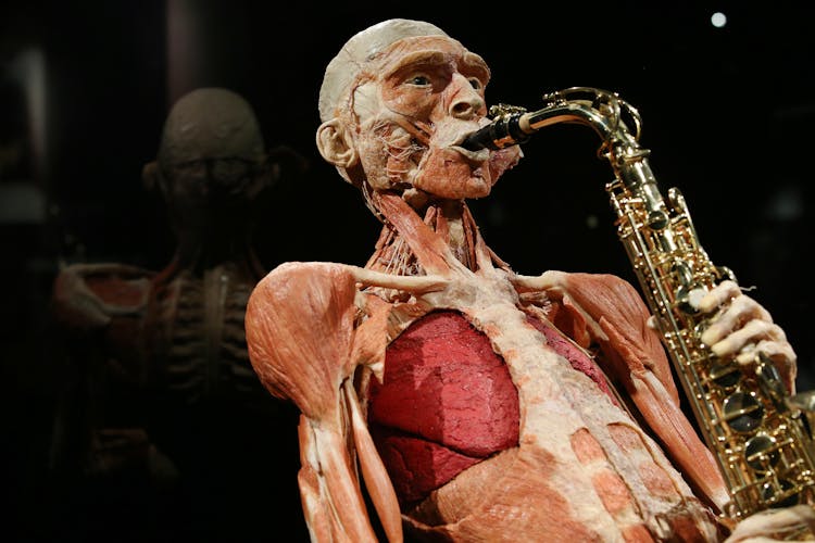 Skip-the-line ticket Body Worlds of Amsterdam: The Happiness Project