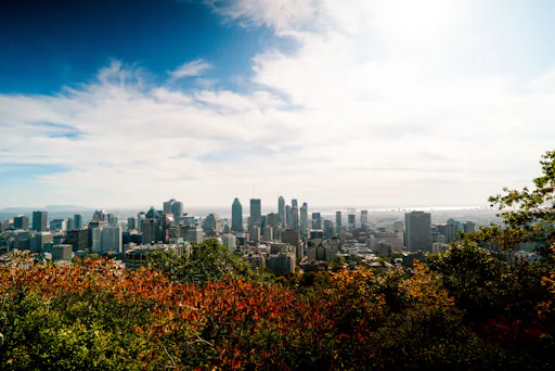 Ultimate Montreal 2.jpg