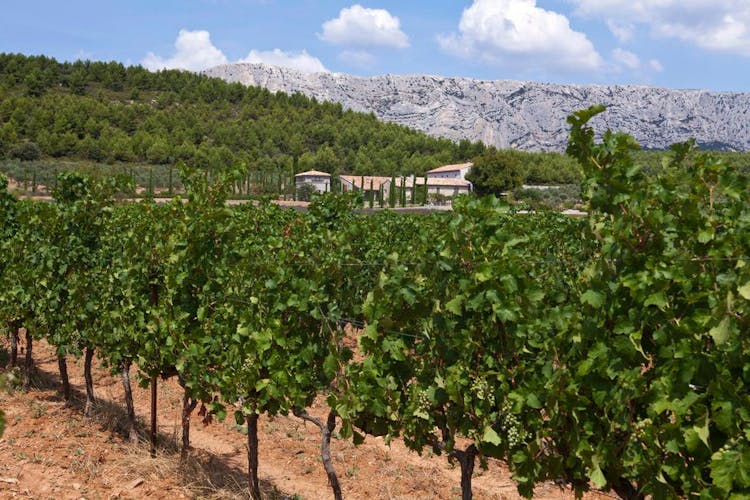 Private Provençal wine tour