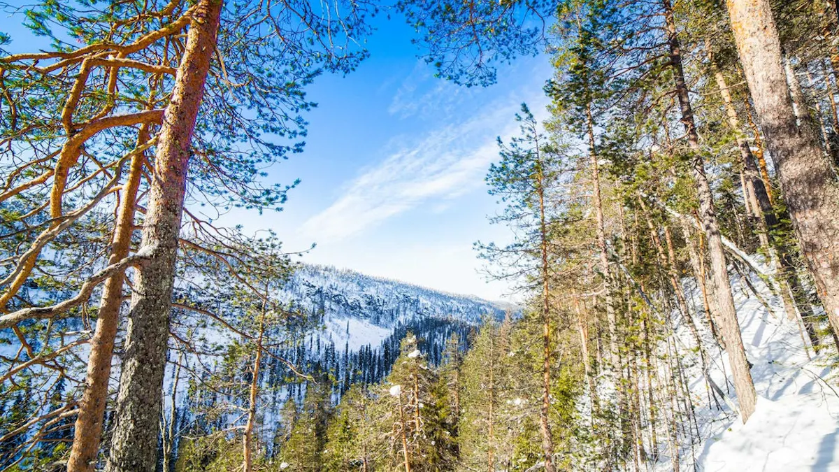 Capture the Korouoma frozen waterfalls 4.jpeg