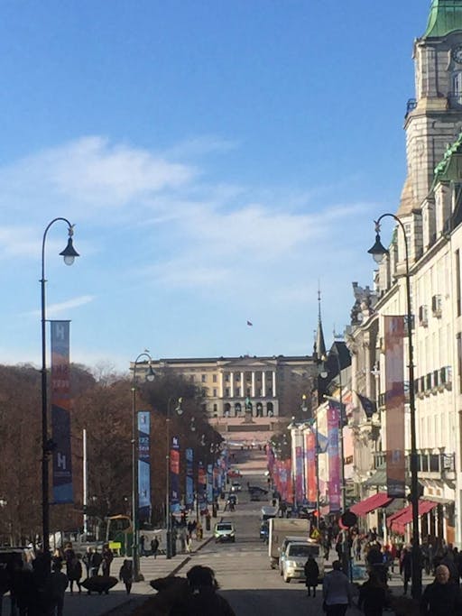 Enjoy a guided tour through Oslo by car  3.jpeg