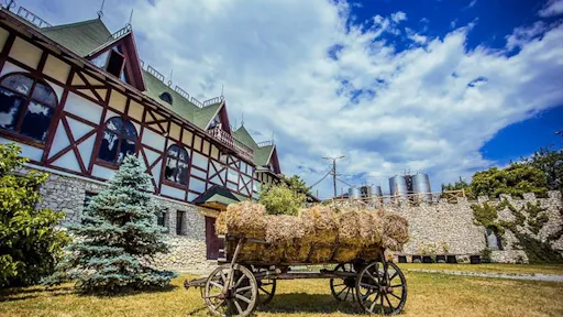 Chateau Purcari Asconi Cellar 05.jpg