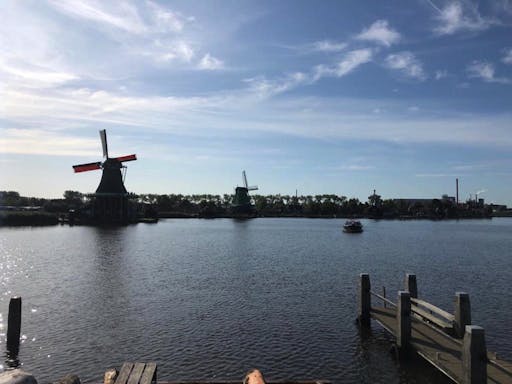windmills2.jpg