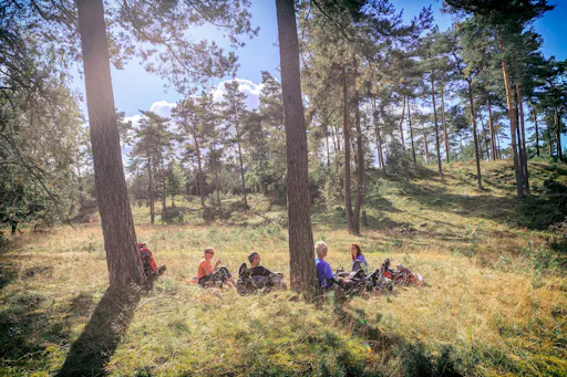 NPDeHogeVeluwe_LenteZomer (19) (klein).jpg