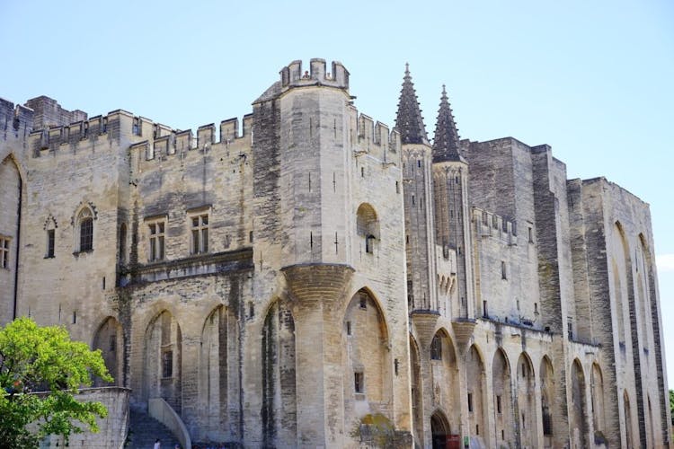 The best of Avignon private tour